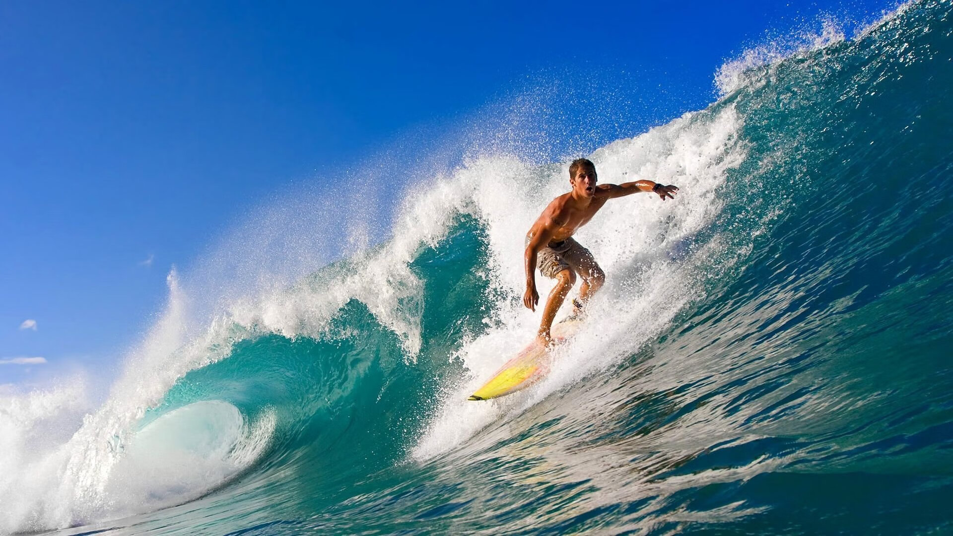 JiuyouAPP下载-决赛场上 麦克沃伊领先优势明显,麦克沃特